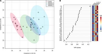 Combined Untargeted and Targeted Metabolomics Approaches Reveal Urinary Changes of Amino Acids and Energy Metabolism in Canine Babesiosis With Different Levels of Kidney Function